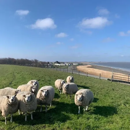 Traumlage Neues Nr45 Meerblick Und Meerlage, Eingezaeunt Uwindfang Σπίτι διακοπών *