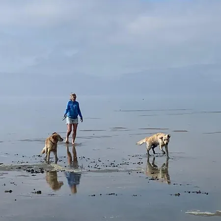 Traumlage Neues Nr45 Meerblick Und Meerlage, Eingezaeunt Uwindfang * Westerland