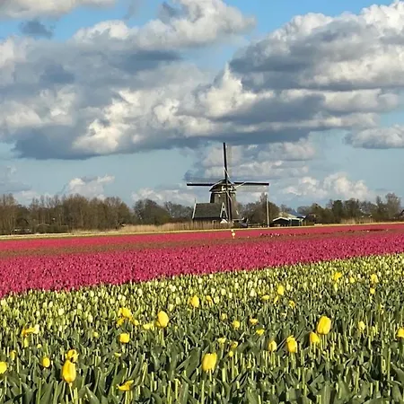 Traumlage Neues Nr45 Meerblick Und Meerlage, Eingezaeunt Uwindfang Dom wakacyjny *
